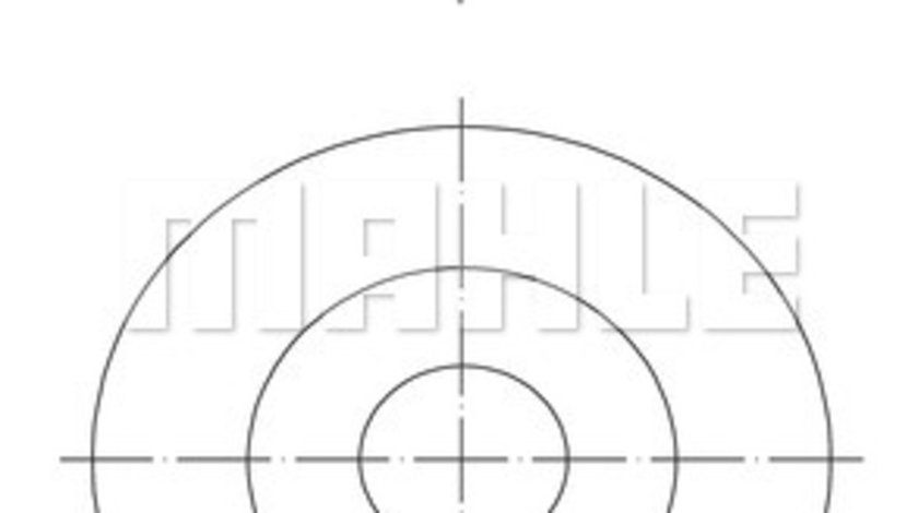 Piston (0160702 MAH) Citroen,FIAT,FORD,JAGUAR,PEUGEOT