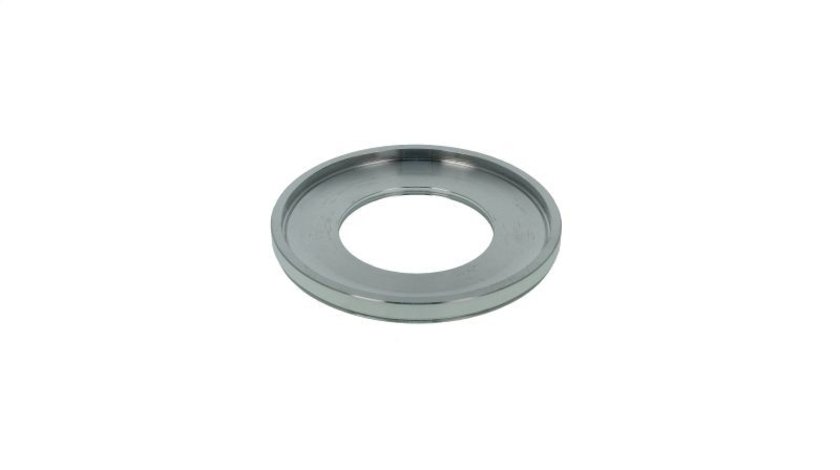 Piston a mecanismului servo transmisie automata ZF TURISME (AUTOMATE) ZF 1060 373 013