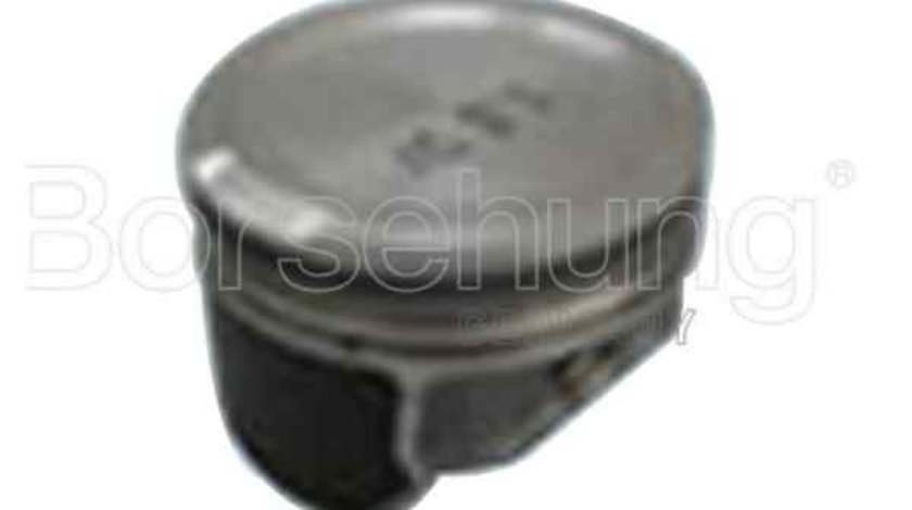 Piston AUDI A4 (8E2, B6) Borsehung B13580