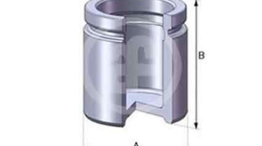 Piston, etrier frana AUDI 100 (44, 44Q, C3) Producator AUTOFREN SEINSA D02520