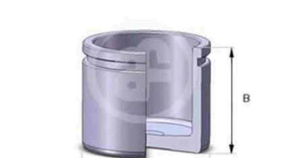 Piston, etrier frana AUDI 80 (81, 85, B2) AUTOFREN SEINSA D02535