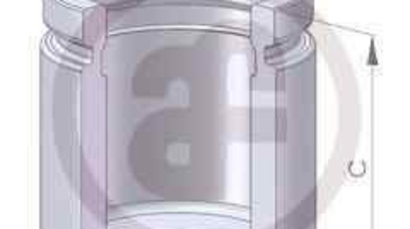 Piston, etrier frana AUDI A4 (8EC, B7) AUTOFREN SEINSA D02559