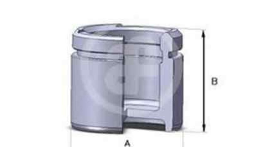 Piston, etrier frana BMW 3 cupe (E46) AUTOFREN SEINSA D02542