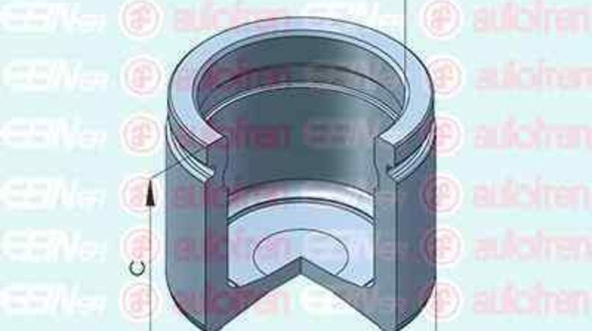 Piston, etrier frana BMW 3 (E90) AUTOFREN SEINSA D025423