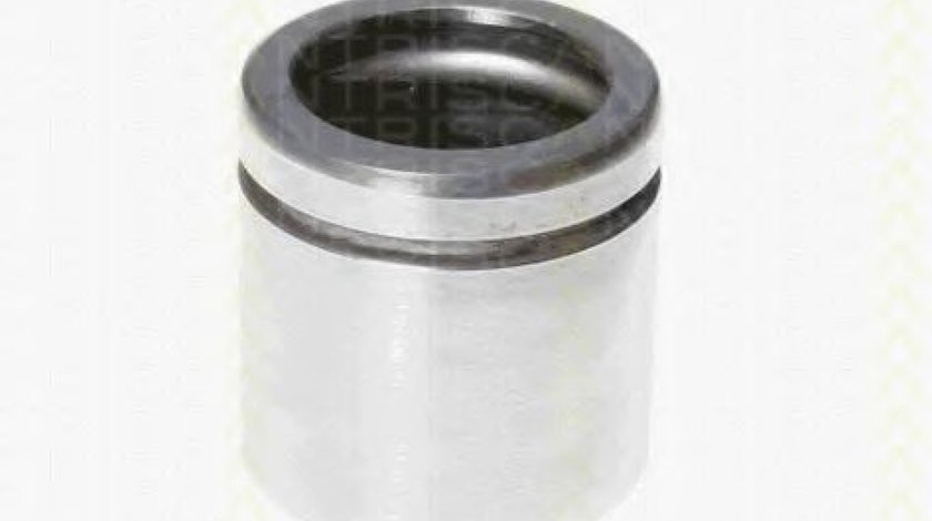 Piston, etrier frana BMW Seria 3 Cupe (E92) (2006 - 2013) TRISCAN 8170 235478 piesa NOUA