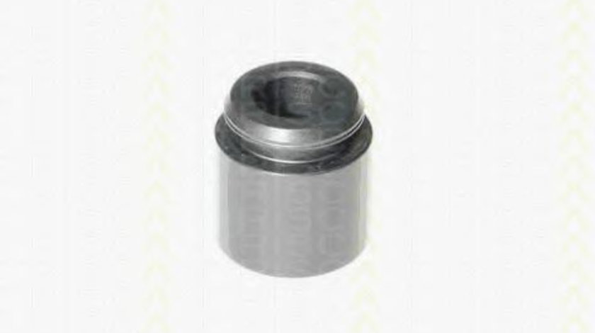 Piston, etrier frana BMW Seria 3 (E90) (2005 - 2011) TRISCAN 8170 232803 piesa NOUA