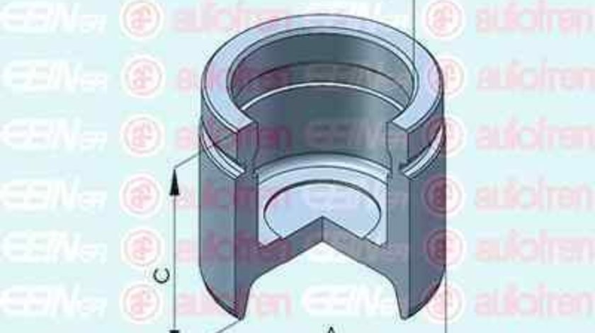 Piston, etrier frana BMW X5 (E53) AUTOFREN SEINSA D025140