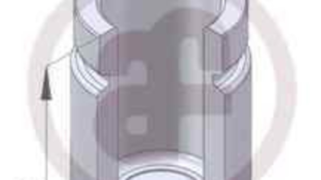 Piston, etrier frana CITROËN C-CROSSER (EP_) AUTOFREN SEINSA D025253