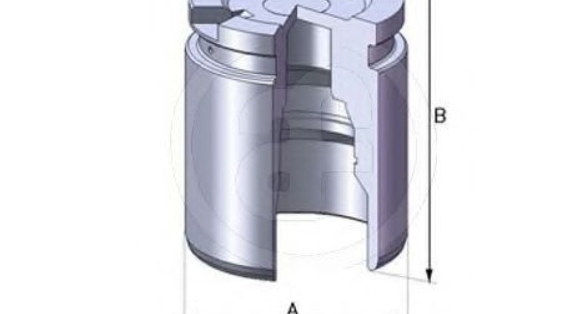 Piston, etrier frana FORD MONDEO IV Limuzina (BA7) (2007 - 2016) AUTOFREN SEINSA D02519 piesa NOUA