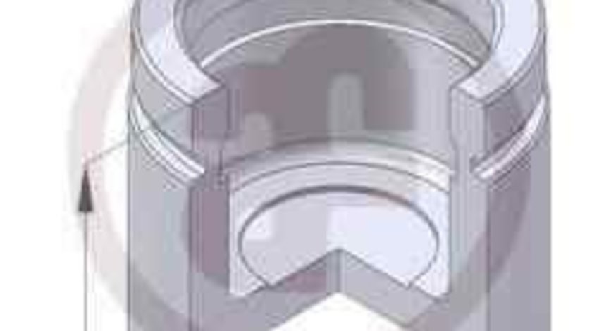 Piston, etrier frana FORD SIERRA combi (BNG) AUTOFREN SEINSA D02563