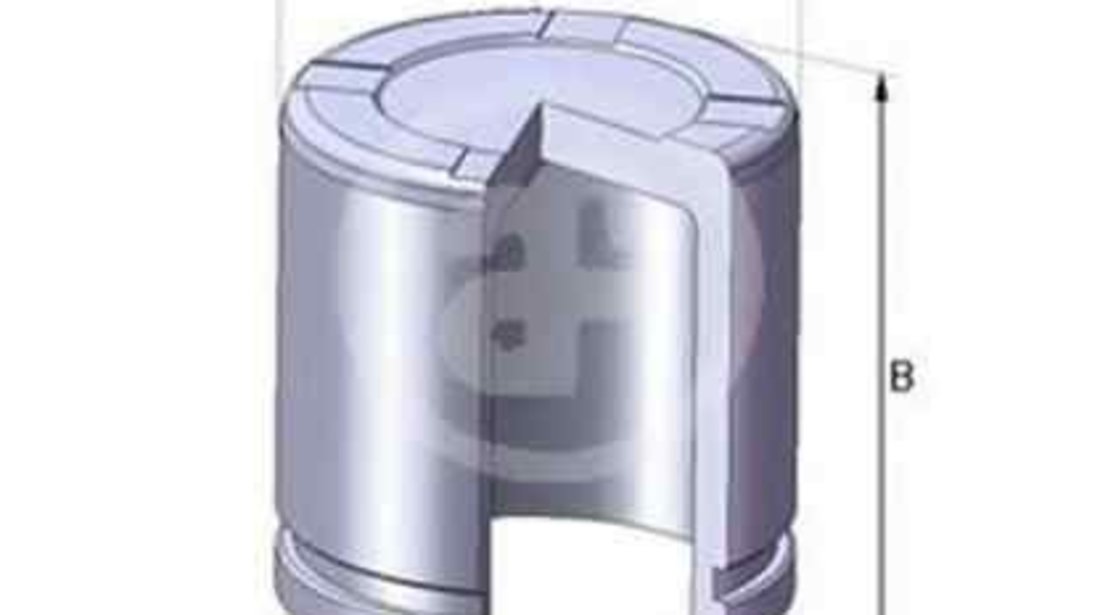 Piston, etrier frana FORD TRANSIT caroserie (FA_ _) AUTOFREN SEINSA D02550