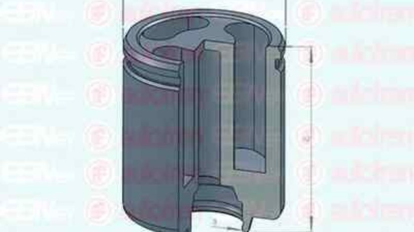 Piston, etrier frana IVECO DAILY III caroserie inchisa/combi AUTOFREN SEINSA D025234