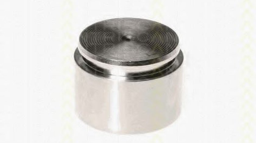 Piston, etrier frana JAGUAR S-TYPE (CCX) (1999 - 2009) TRISCAN 8170 234420 piesa NOUA