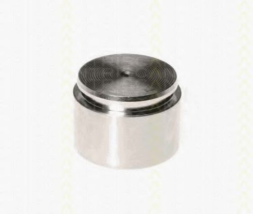 Piston, etrier frana JAGUAR XJ (N3, X350, X358) (2003 - 2009) TRISCAN 8170 234420 piesa NOUA