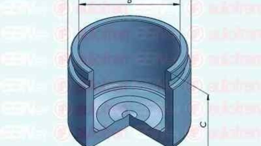 Piston, etrier frana KIA CARENS III (UN) AUTOFREN SEINSA D025325