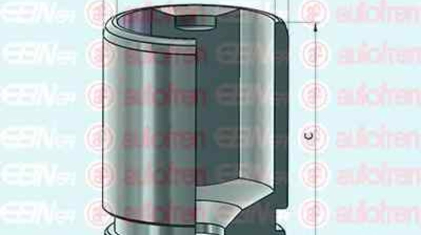 Piston etrier frana LANCIA THESIS 841AX AUTOFREN SEINSA D025541