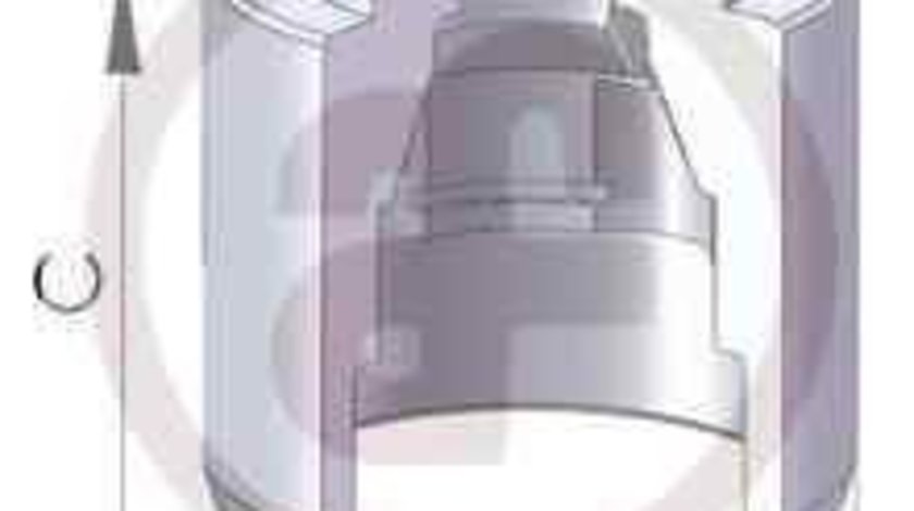 Piston, etrier frana MAZDA PREMACY (CP) AUTOFREN SEINSA D025119