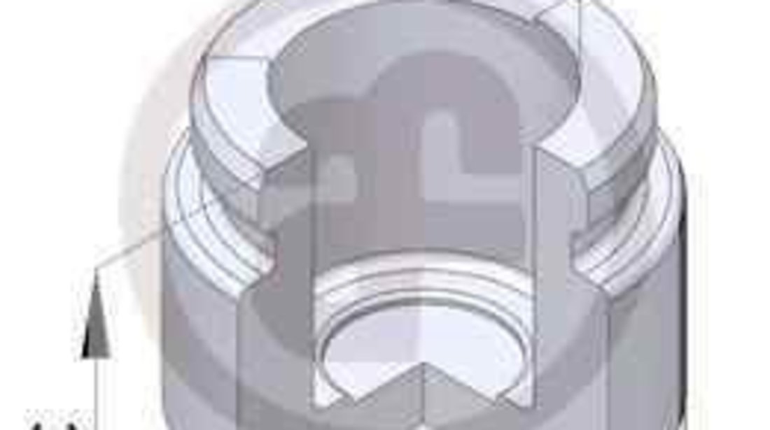 Piston, etrier frana MERCEDES-BENZ C-CLASS T-Model (S203) AUTOFREN SEINSA D025229