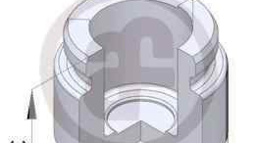 Piston, etrier frana MERCEDES-BENZ C-CLASS (W203) AUTOFREN SEINSA D025229