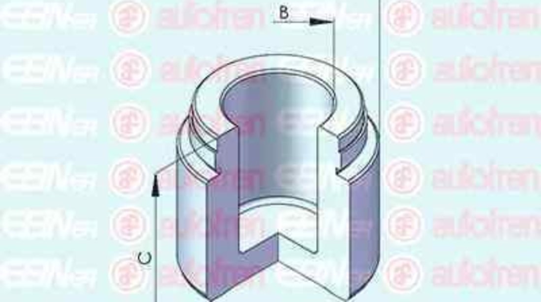 Piston, etrier frana MERCEDES-BENZ E-CLASS (W211) AUTOFREN SEINSA D025485