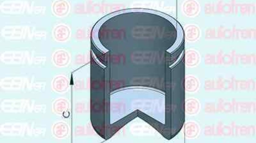 Piston, etrier frana MERCEDES-BENZ E-CLASS (W211) AUTOFREN SEINSA D025453