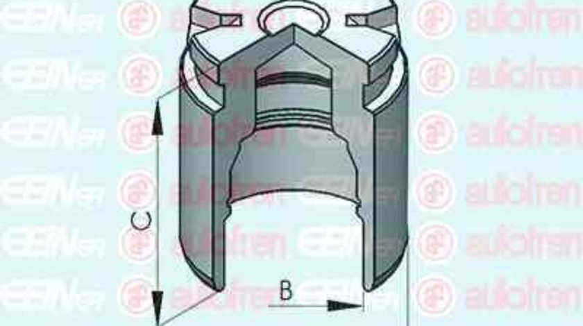 Piston, etrier frana NISSAN MICRA II (K11) AUTOFREN SEINSA D025116