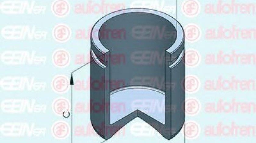 Piston, etrier frana NISSAN NAVARA platou / sasiu (D40) (2008 - 2016) AUTOFREN SEINSA D025460 piesa NOUA