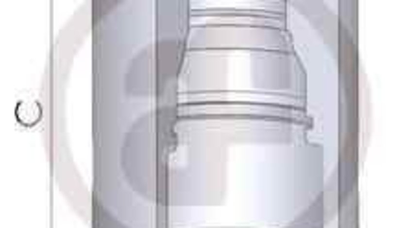 Piston, etrier frana NISSAN PRIMERA (P11) AUTOFREN SEINSA D02594