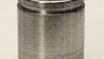 Piston, etrier frana NISSAN TERRANO II (R20) (1992...