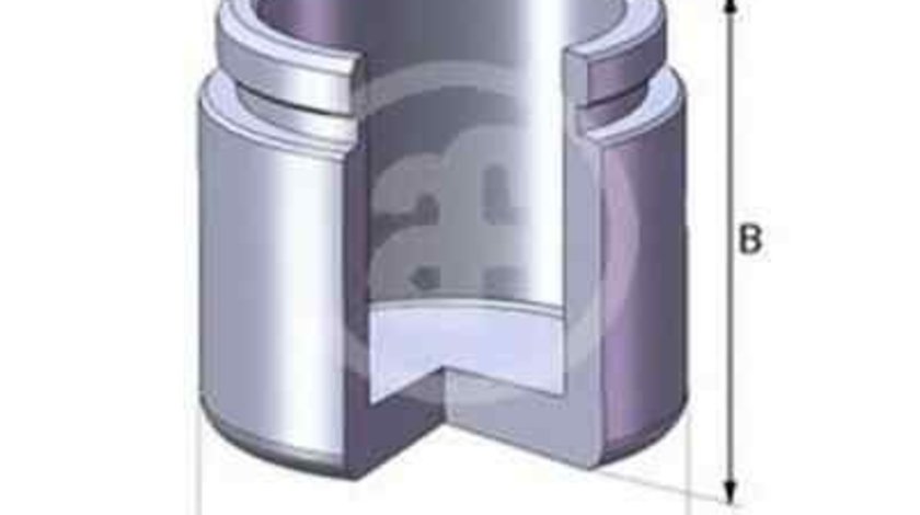 Piston, etrier frana OPEL ASCONA B (81_, 86_, 87_, 88_) AUTOFREN SEINSA D02531