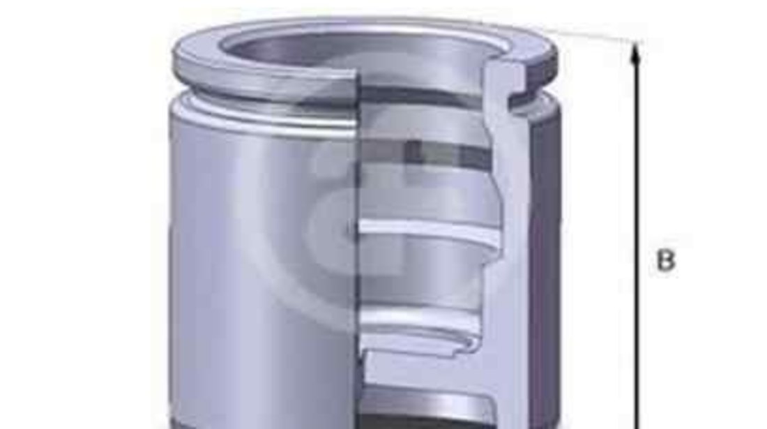 Piston, etrier frana OPEL CORSA B (73_, 78_, 79_) AUTOFREN SEINSA D02544