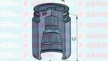 Piston, etrier frana OPEL VECTRA C GTS (2002 - 201...