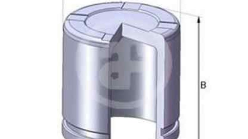 Piston, etrier frana PEUGEOT 205 I (741A/C) AUTOFREN SEINSA D02550