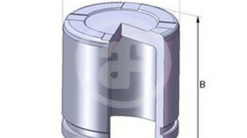 Piston, etrier frana PEUGEOT 206 Hatchback (2A/C) (1998 - 2016) AUTOFREN SEINSA D02550 piesa NOUA