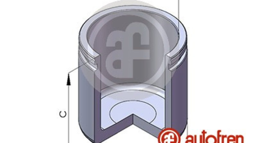 Piston, etrier frana punte fata (D025109 AUT) Citroen,RENAULT