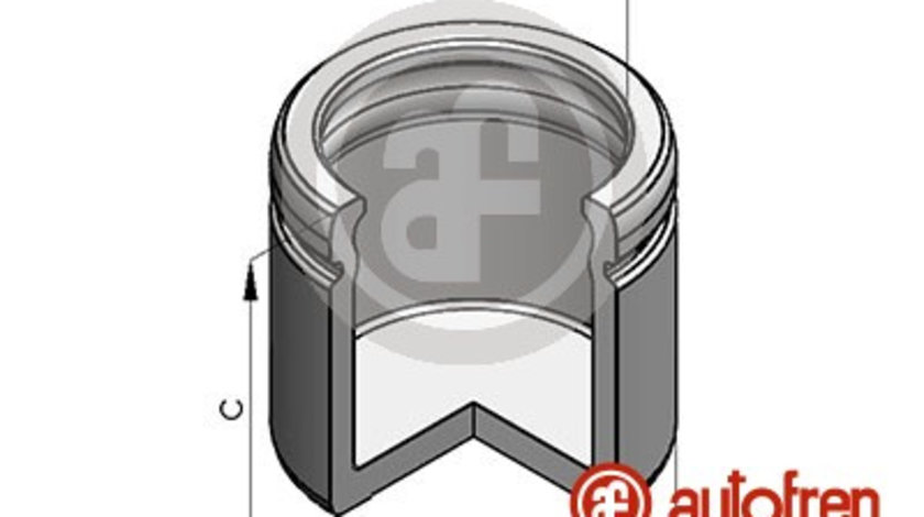 Piston, etrier frana punte fata (D025188 AUT) ALFA ROMEO,ALPINA,AUDI,BMW,CADILLAC,Citroen,DAIHATSU,DAIMLER,DS,FORD,GAZ,HONDA,JAGUAR,LAND ROVER,MERCEDES-BENZ,NISSAN,OPEL,PEUGEOT,RENAULT,SAAB,SEAT,VAUXH