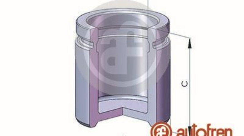 Piston, etrier frana punte fata (D02520 AUT) AUDI,BMW,DAEWOO,FIAT,FORD,PORSCHE,SEAT,SKODA,TALBOT,VW