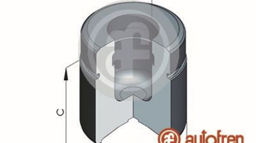 Piston, etrier frana punte fata (D025224 AUT) CHEVROLET,OPEL,VAUXHALL