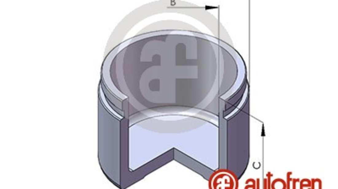 Piston, etrier frana punte fata (D025225 AUT) ACURA,CHRYSLER,HONDA,MERCEDES-BENZ,ROVER