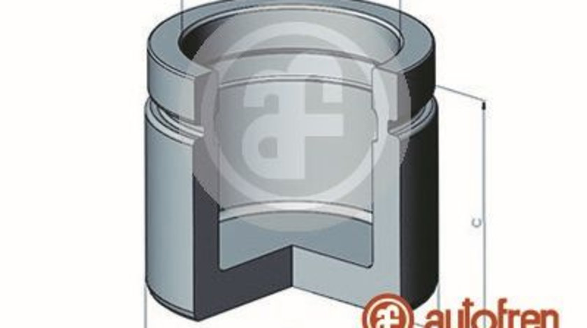 Piston, etrier frana punte fata (D025296 AUT) FORD,SEAT,VW