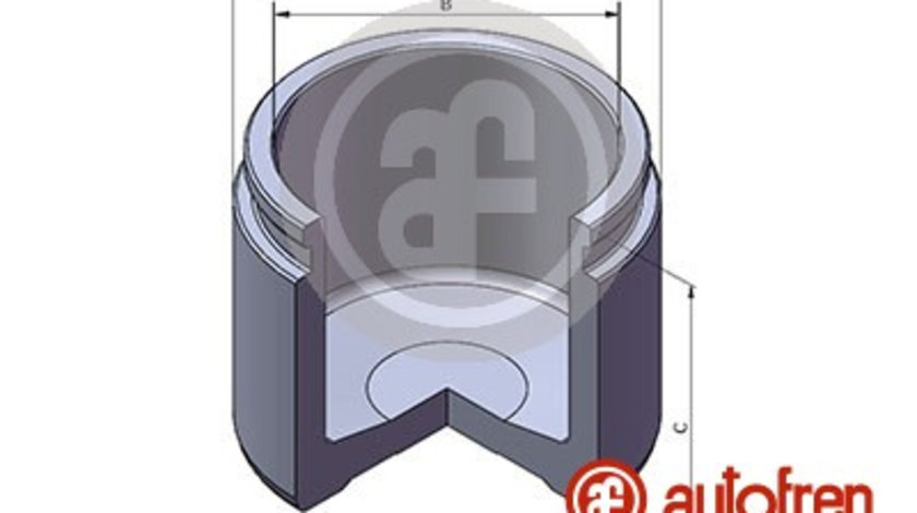 Piston, etrier frana punte fata (D02533 AUT) Citroen,HYUNDAI,MERCEDES-BENZ,NISSAN,OPEL,PEUGEOT,RENAULT,SEAT,SUBARU,SUZUKI,VAUXHALL