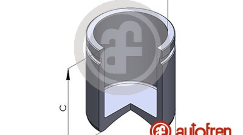 Piston, etrier frana punte fata (D025362 AUT) HYUNDAI,KIA,MITSUBISHI