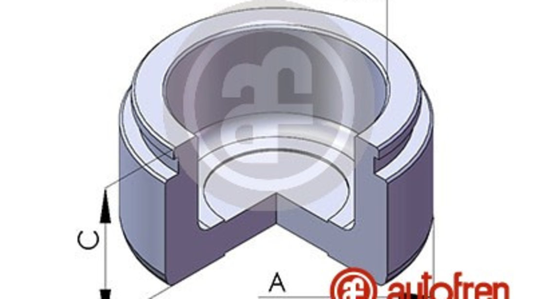 Piston, etrier frana punte fata (D025439 AUT) LEXUS,TOYOTA