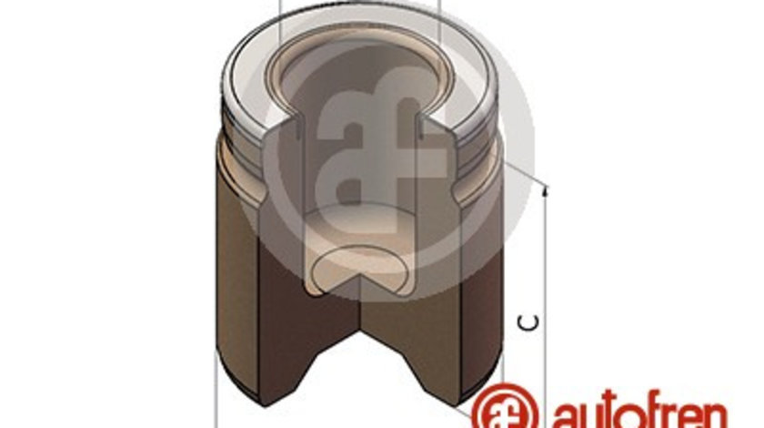 Piston, etrier frana punte fata (D025527 AUT) ISUZU