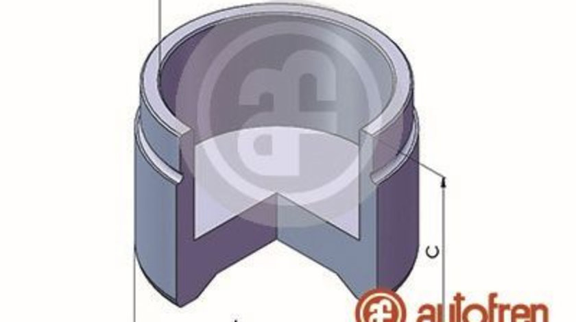 Piston, etrier frana punte fata (D025587 AUT) Citroen,DAIHATSU,KIA,MAZDA,TOYOTA