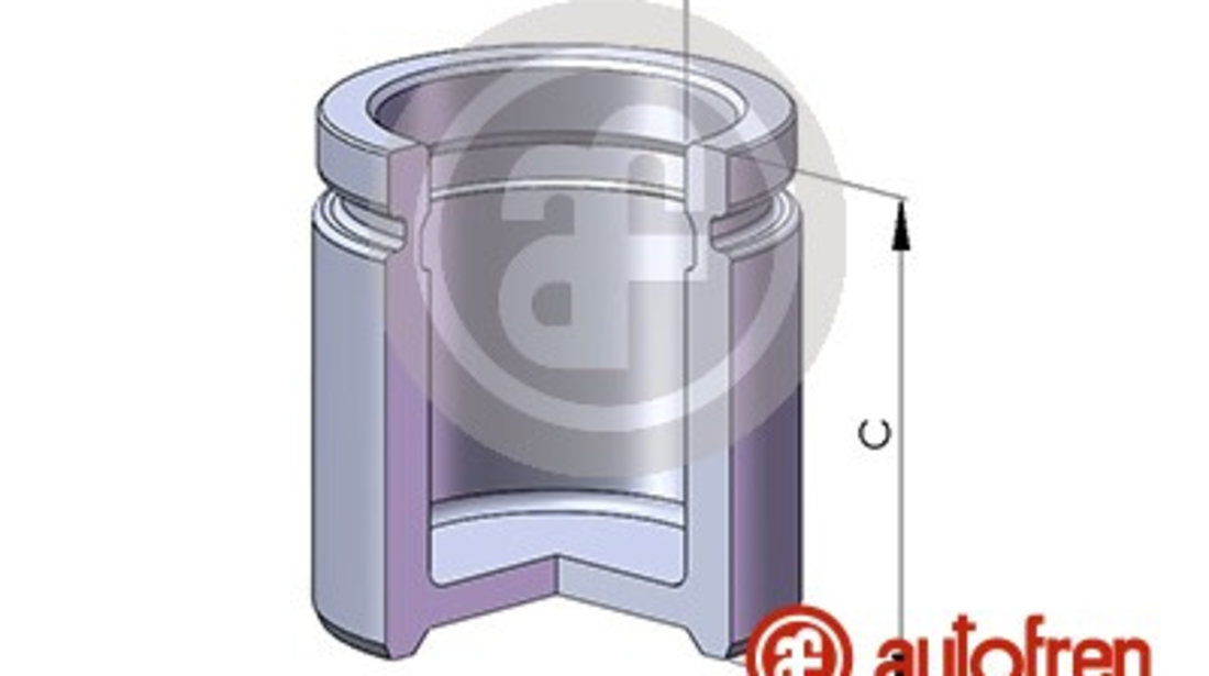 Piston, etrier frana punte fata (D02560 AUT) SEAT,SKODA,VW