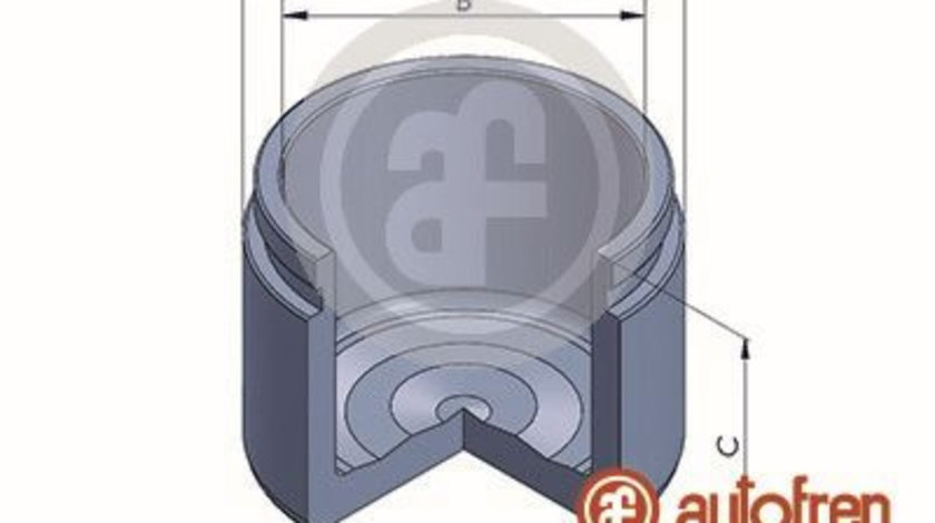 Piston, etrier frana punte fata (D025638 AUT) TOYOTA