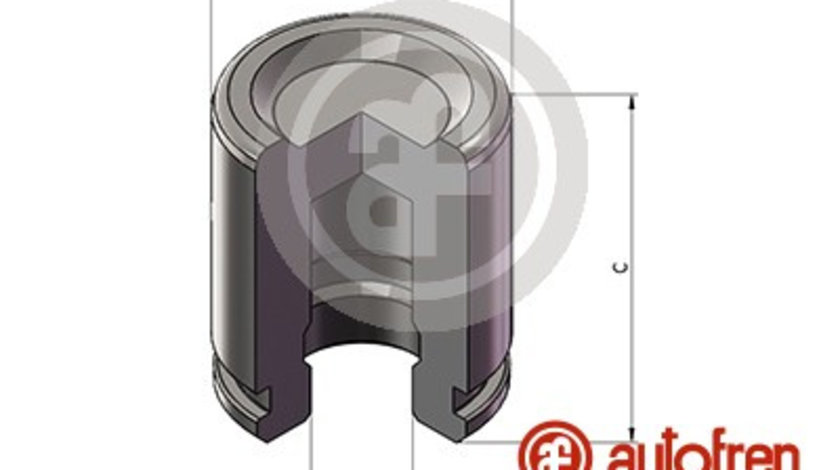 Piston, etrier frana punte fata (D025685 AUT) CHRYSLER,DODGE