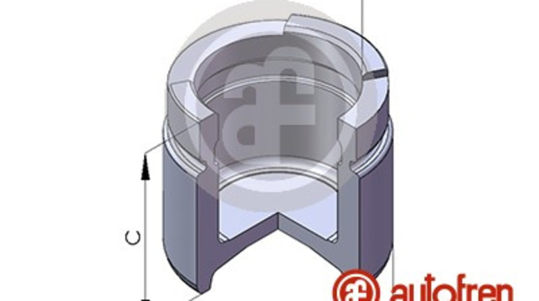 Piston, etrier frana punte fata (D02571 AUT) CHEVROLET,DAEWOO,FSO,HONDA,OPEL,ROVER,SUZUKI,VAUXHALL,VOLVO