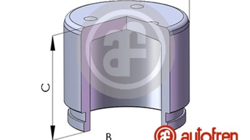 Piston, etrier frana punte fata (D02572 AUT) HONDA,HYUNDAI,KIA,LEXUS,ROVER,SUBARU,SUZUKI,TOYOTA,TRIUMPH